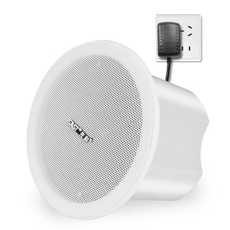 

SAST Wireless Bluetooth Ceiling Speaker System (1-to-4) CN plug (adapter included)