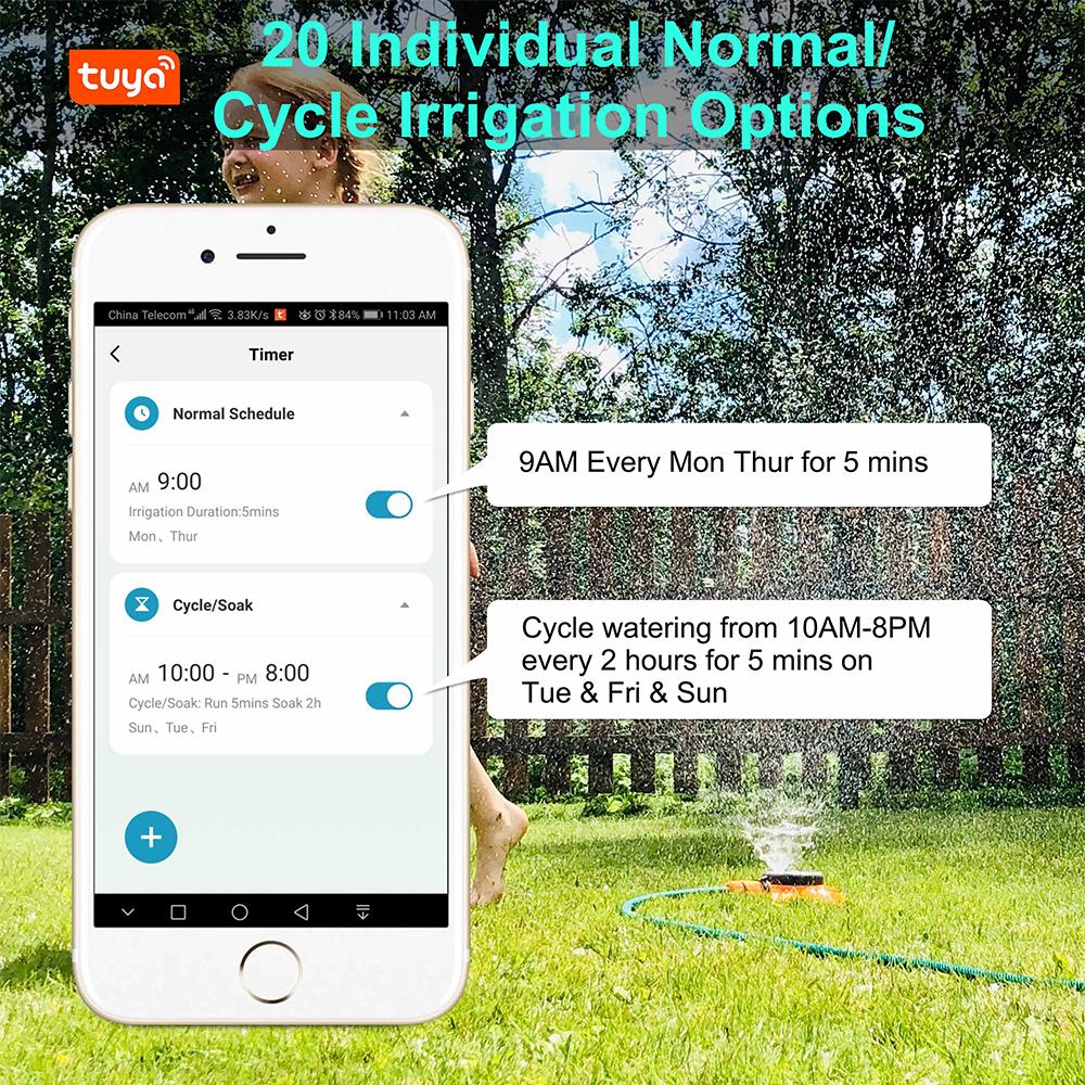 Automatic Water Timer with Gateway Dual Garden Hose Watering System Remote Sprinkler Programmer Support Alexa