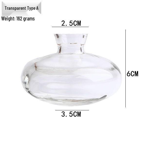 

Clear Glass Vase for Hydroponic Plants and Fresh Flowers - Desktop Decor for Living Room