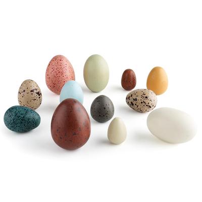 Brinquedos de Ovo de Madeira TUGO - Brinquedo de Faz de Conta para Crianças, Brinquedo Educacional para Reconhecimento de Formas, Ovos de Simulação, Conjunto de Faz de Conta, Ferramentas Decorativas, Madeira