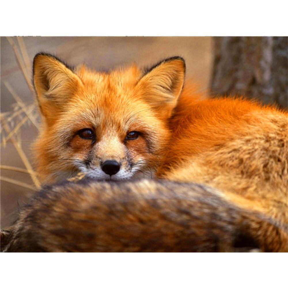 Diy Handwerk Diamant Malerei Schmetterling Diamant Stickerei Tier Strass Mosaik Verkauf handgemachtes Geschenk