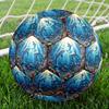 1pc Oceanic Dolphins Theme Soccer Ball Football, Size 5, Lightweight PVC, Outdoor Training Soccer Ball,Sports Gift t61422