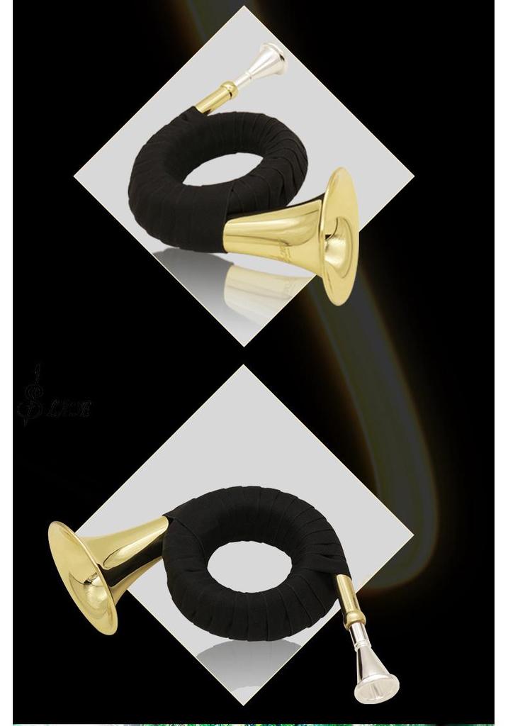 Brass B-flat French Horn Set: Gold Mini Horn with Stand
