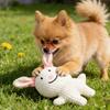 Pet Fun Squeaky Dog Toys - Cute & Entertaining Pet Supplies
