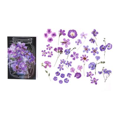 40Pcs Flower Decals Easily Peel Off Durable Waterproof PET Multi Purpose PET Plants Stickers for Scrapbook DIY Craft