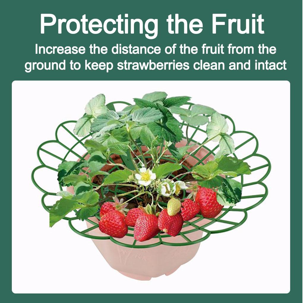 10pieces Strawberry Plant Support Stand | Rack Protector With Growing Holder Cage Strawberry Mats