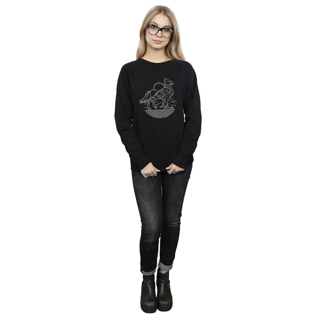 Harry Potter Womens/Ladies Buckbeak Line Art Sweatshirt