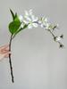 Jasmine Artificial Hanging Flowers White Silk Flowers Like Real Hanging Decoration For Wedding Decorative Home Balcony
