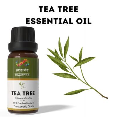 Ananta Tea Tree Essential Oil 10 Ml | Herbal Aromatic Oil | Diffuser & Home Fragrance Use