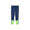 Puma IndividualCup Training Pants Men Bottoms Navy Green 658487-54