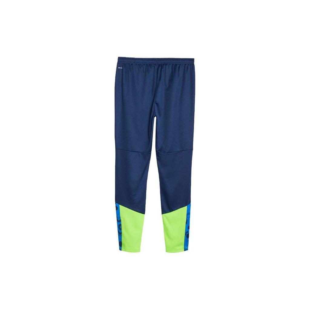 Puma IndividualCup Training Pants Men Bottoms Navy Green 658487-54