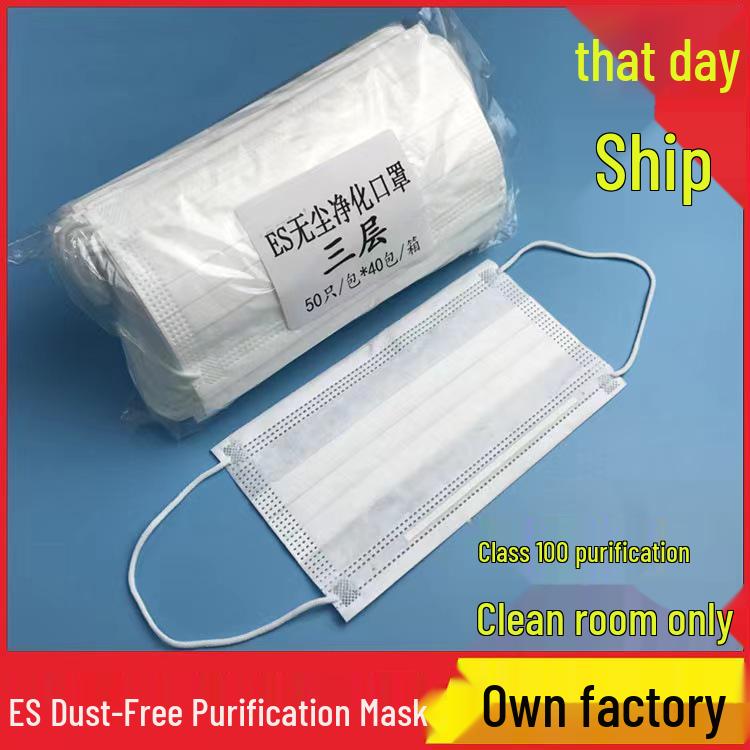 ES Dust-Free Anti-Static Cleanroom Mask, Lint-Free, Disposable, 2-Layer & 3-Layer Options, Smooth & Breathable