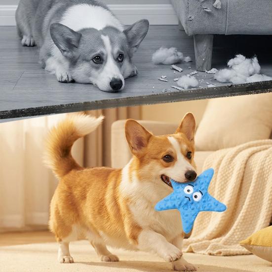 Jouet pour animal de compagnie en forme d'étoile Jouet doux pour chien avec papier bruissant intégré Jouet à mâcher Soulagement de l'ennui Résistant aux morsures Dressage de chiot