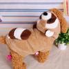 HONGHONGPET Bear Transformation Costume: Autumn/Winter Pet Clothing