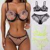 European-American Sexy Lace Mesh Bikini Lingerie Set with Embroidery