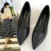 Spring new pointed toe foot cover casual commuting soft leather fashion single shoes women's tide