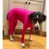 Medium and Large-sized Cat All-inclusive Dog Four-legged Autumn and Winter ClothingPet Clothing Cat Stretch Base Layer Shirt