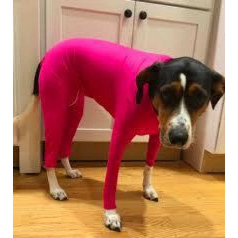 Medium and Large-sized Cat All-inclusive Dog Four-legged Autumn and Winter ClothingPet Clothing Cat Stretch Base Layer Shirt