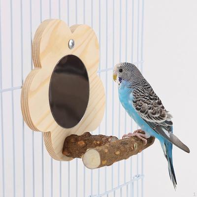Juguete de madera con espejo para loros, perchas para jaulas de pájaros, juguetes interactivos para masticar, perchas