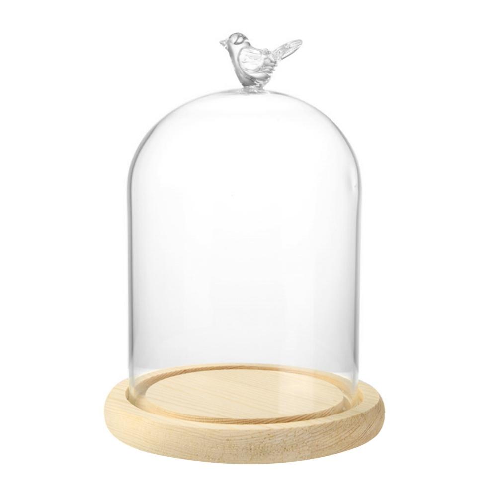Clear Glass Display Cloche Dome with Bird Handle Wooden Base, Immortal Flower Glass Cover Large Size Office Home Decoration