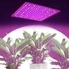 45W LED Plant Lamp with Hooks Full Spectrum Grow Light Red + Blue + White Indoor Grow Lights for Indoor Plants Vegetables Flower