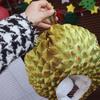 Headwear Funny Simulation Durian Hat Soft Comfortable Durian Headgear Unique Cartoon Hat Cosplay Costume