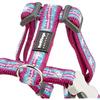Accessoire pour animaux - RED DINGO - Petral style - Multicolore - Acier inoxydable - Confort optimal