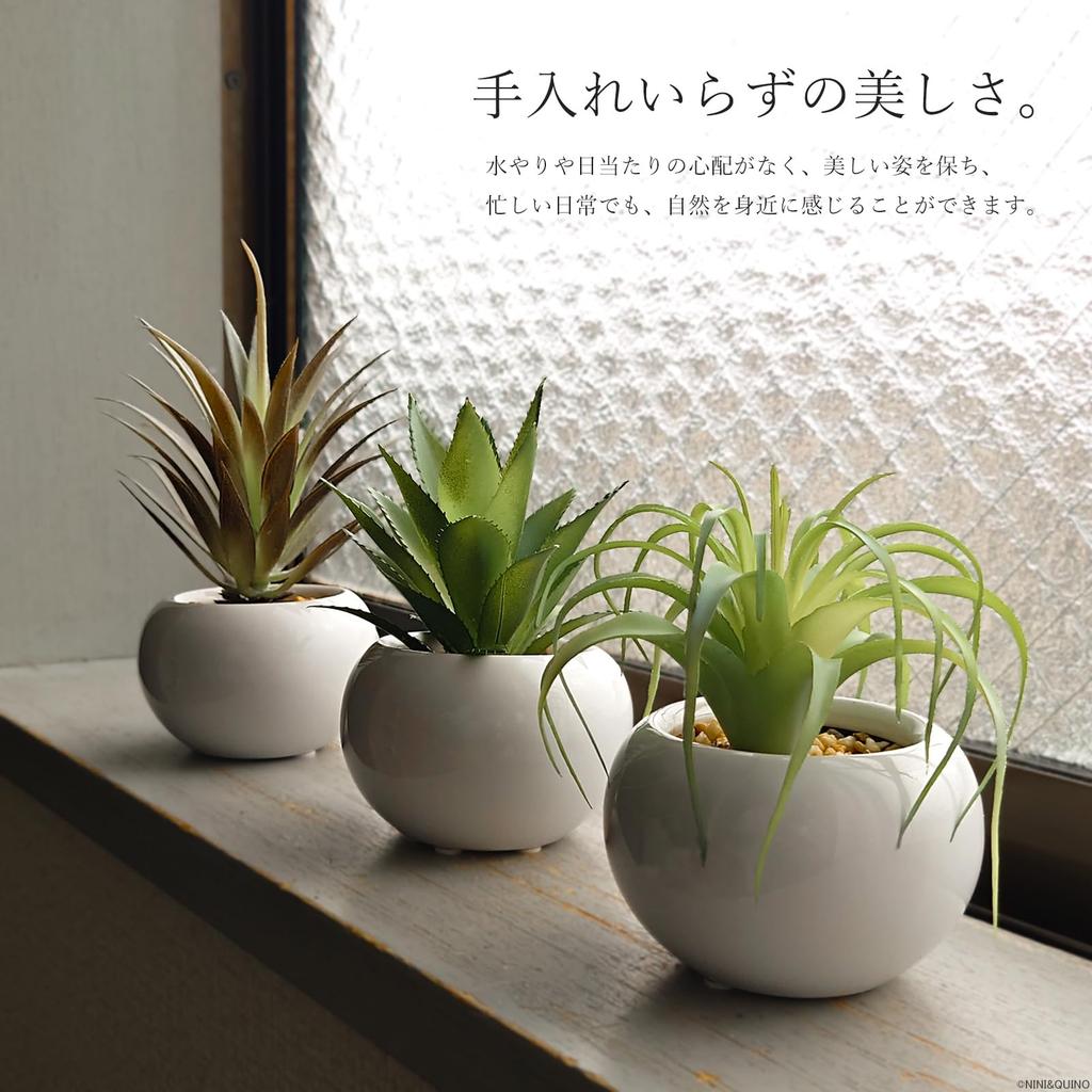Faux Greenery Mini Potted Air Plant Set and Perfect for Home Perfect for Tabletop Perfect as a (3 Pieces) - Bromeliad, Agave, More. Stylish, Decor.