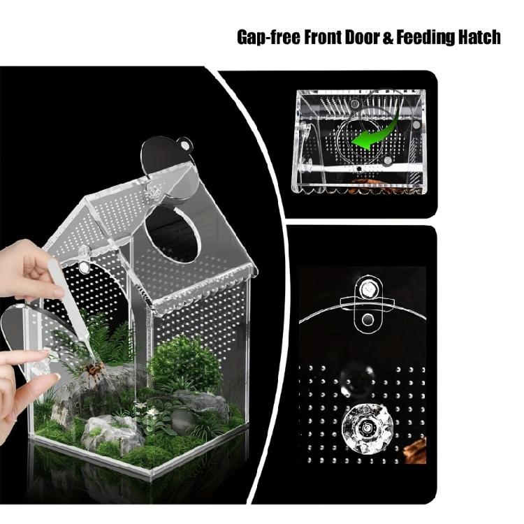 Shatterproof Clear Acrylic Reptiles Terrarium Breeding Box Ventilated Reptiles Cage For Science Experiment And Education