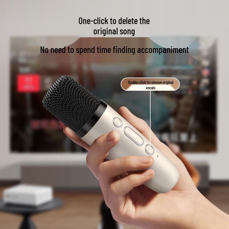 Newman DP97 All-in-One KTV Microphone Speaker