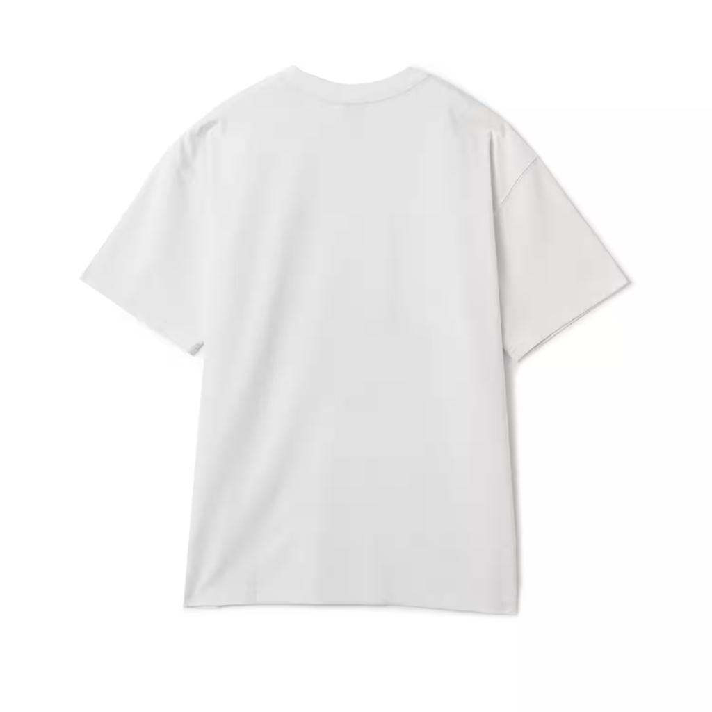 Nike Dri Fit SS25 AS M ACG OC SCORPION SUMMIT T Shirt Unisex HV1291-121