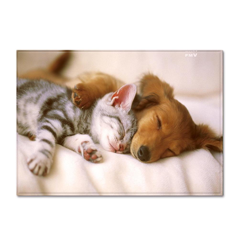 Animal Large Carpet Feather Wind Bedroom Floor Mat