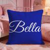 BBelleS Classic Brand Cushion Cover Premium Comfort Reversible Pillow Cove Two In One Design For Any Room  Car Interior