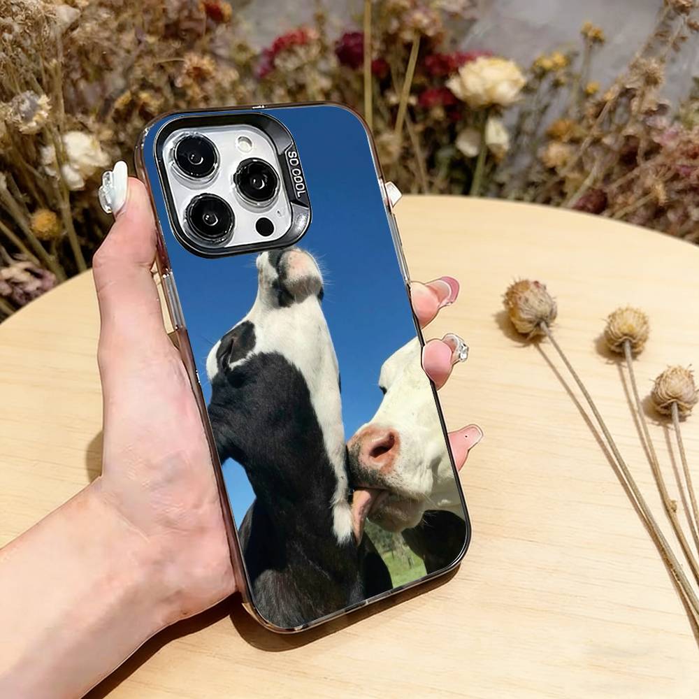 Funny cute cows Phone Case For iPhone 17,16,15,14,13,12,11 Plus,Pro Max,XS,Colored Silver Plated Inside Cover