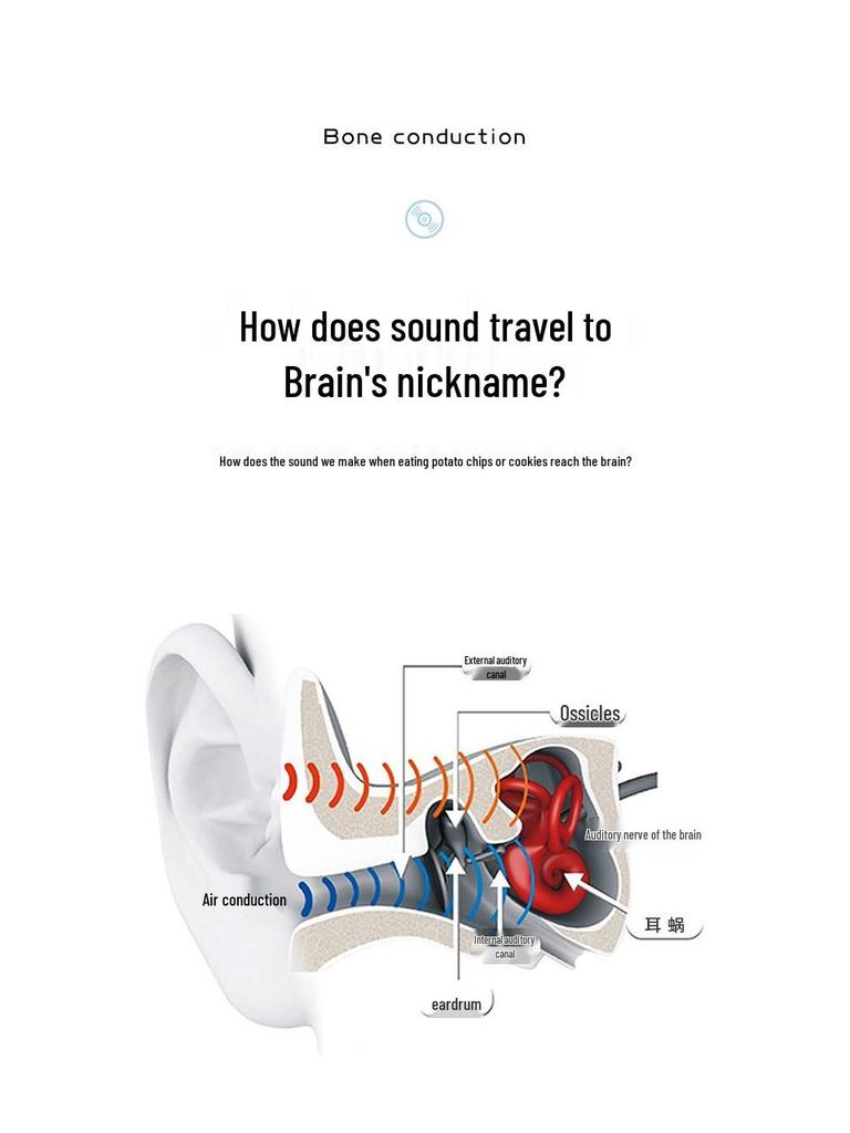 New Wireless Bone Conduction Bluetooth Headphones: In-Ear, Over-Ear Sports Style with Long Standby