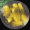 50pcs Small Size Natural Feathers Spotted Pattern Real Plumes Spotted Feathers Multicolo Natural Color Fake Eyelashes DIY