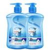 Diao Brand Sea Salt Ocean Fresh Hand Soap