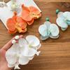 Zink Zinklegierung Schmetterlings-Orchideen-Ohrringe Strandschmuck Blumenohrringe Niedliche Blumen-Hängeohrringe Frauen