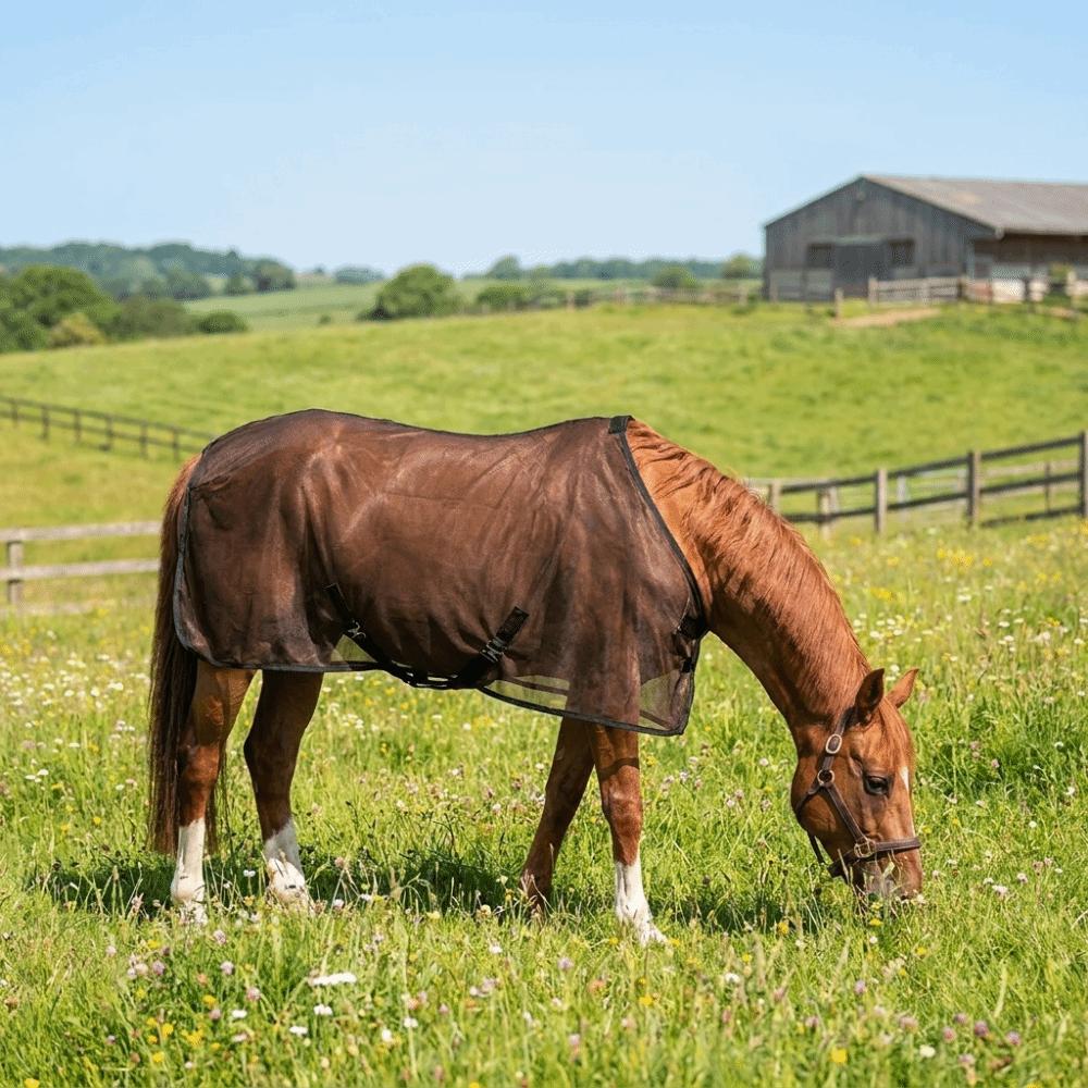 Adjustable Horse Mosquito Proof Vest Wear-Resistant Horse Belly Protect Cover Outdoor Breeding