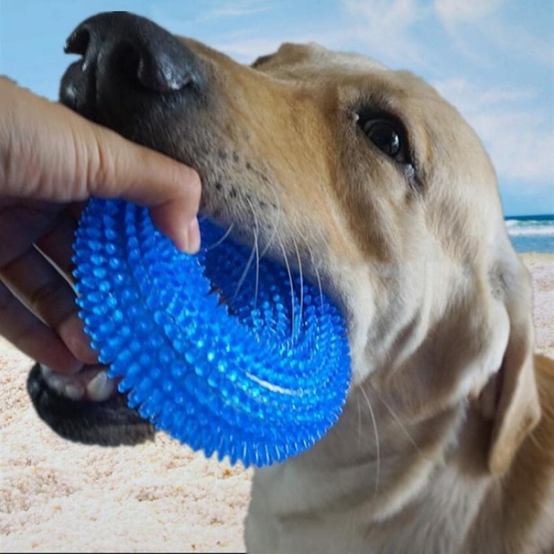 Interactive Squeaky Dog Chew Toy for Puppies - Bite Resistant TPR Tooth Cleaning Thorn Barbed Molar Chew Toy for Dogs