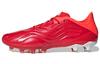 Copa Sense.1 Ag 'Solar Red' FY6206
