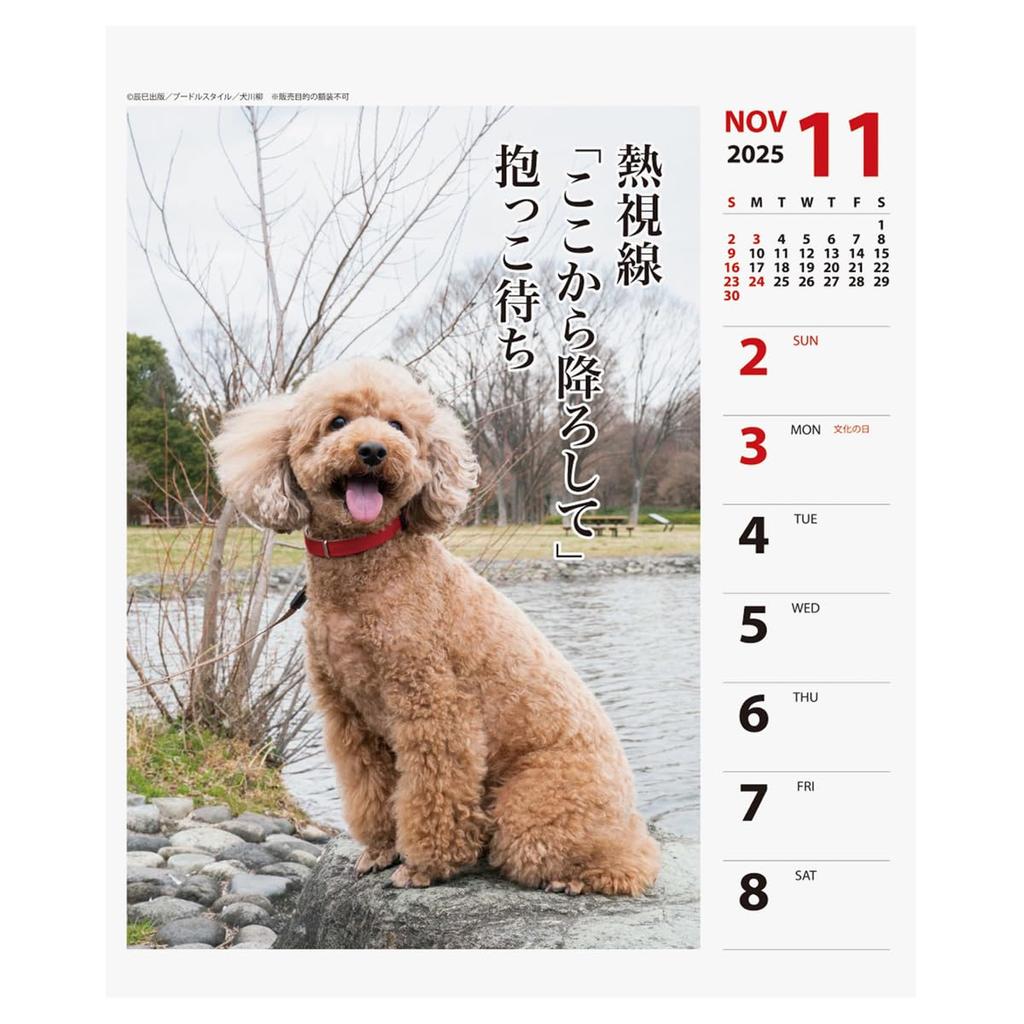 2025 Poodle Senryu (Weekly) Calendar No.028