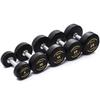 Shuhua 390 Series Rubber Coated Dumbbell