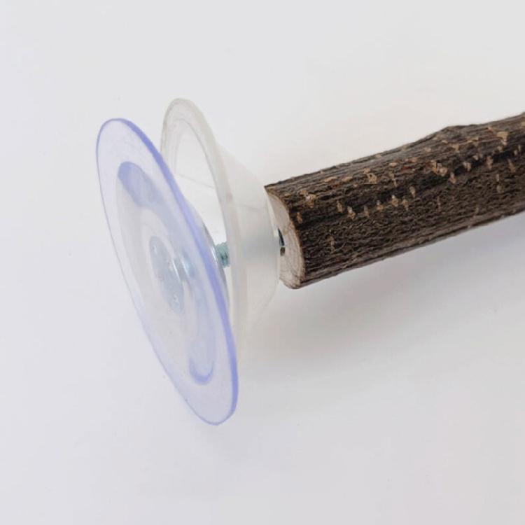 3pack Portable Parakeets Grinding Stick Training Toy Strong Suction Cup Bird for Small to Medium