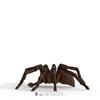 Schleich Harry Potter Series Aragog 13987