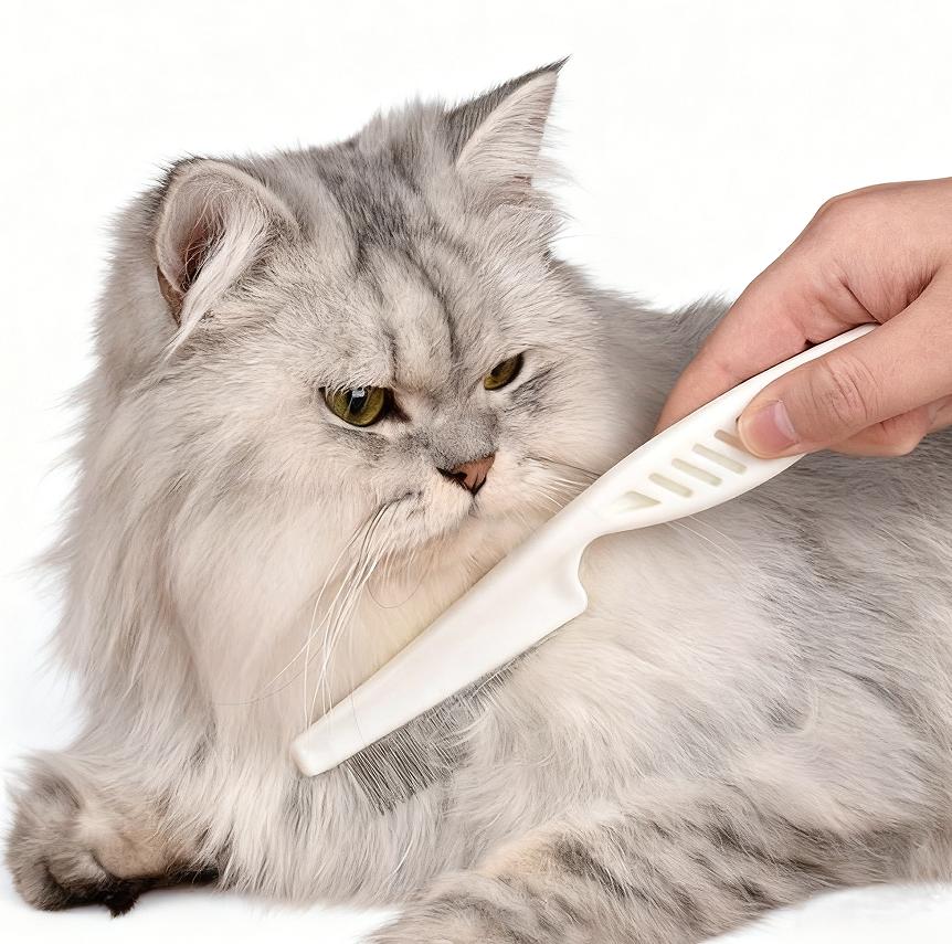 Nettoyage et Baignade pour Animaux Poils Dents Visage Yeux Aiguille Peigne Anti-Puces pour Chats et Chiens pour le Toilettage