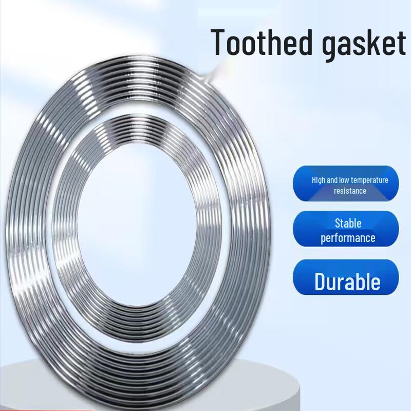 Songo 304 Stainless Steel Serrated Gasket