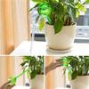Automatic Watering Device Houseplant Plant Pot Bulb Globe Garden Waterer