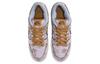 Nike SB Dunk Low Premium City Of Style FN5880-001