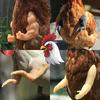 Funny Wearing Muscle Arm Hulk Arms Chicken Forelimb Toy Fighting Chicken Arms Toys  Pet Theme Party